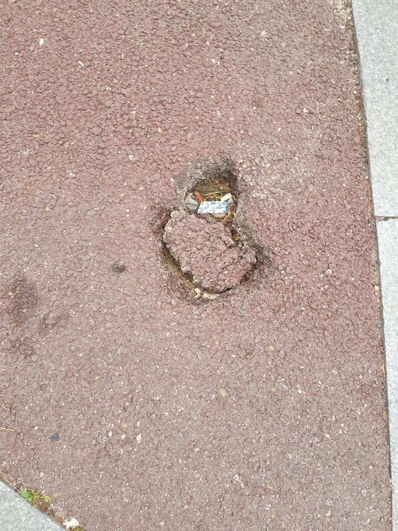 1657424425822-0.jpg 이미지