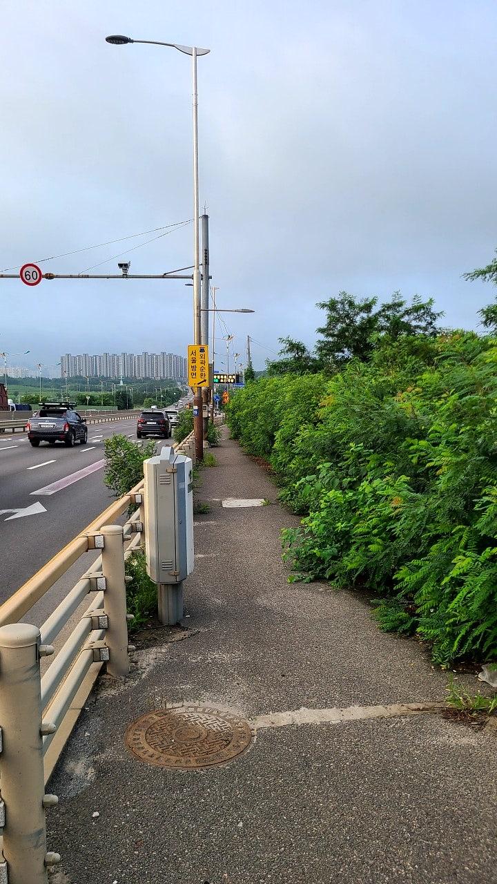 3472483248527989084_(1).jpg 이미지