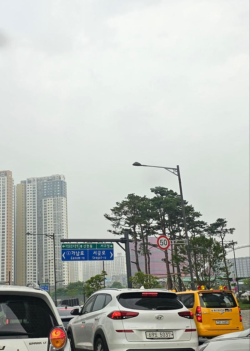 사진.jpg 이미지