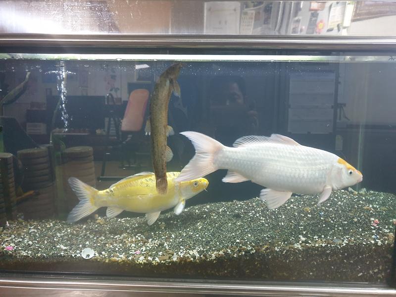 KakaoTalk_20240626_213836983.jpg 이미지