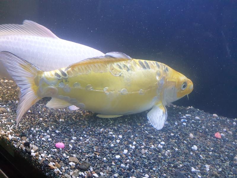 KakaoTalk_20240626_213836983_02.jpg 이미지