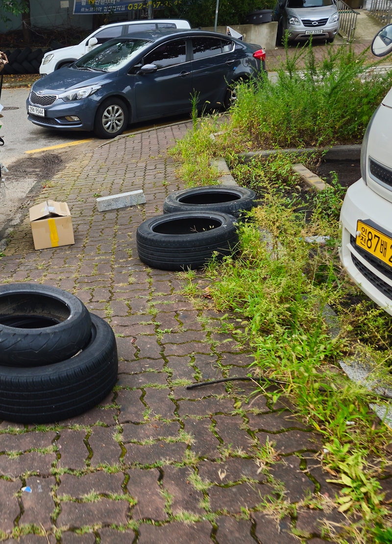 스크린샷_2024-09-04_094244.png 이미지