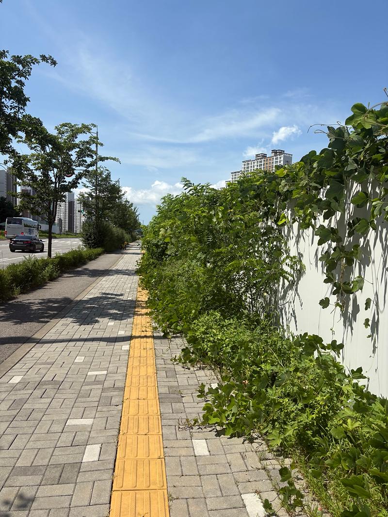 KakaoTalk_20250821_131137190.jpg 이미지