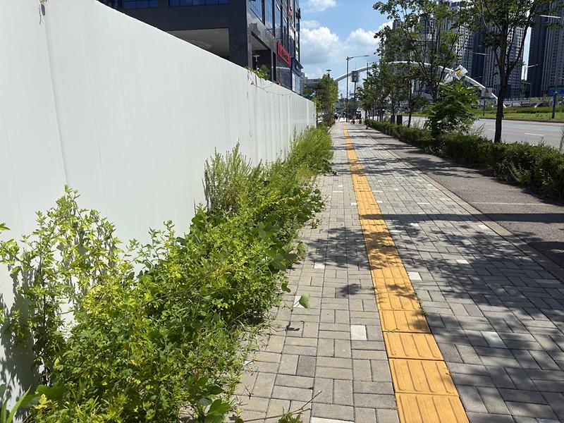 KakaoTalk_20250821_131137190_02.jpg 이미지