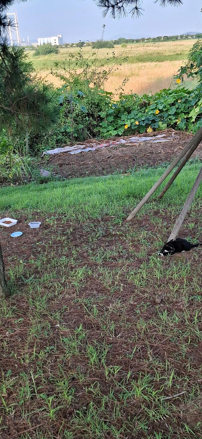 KakaoTalk_20250903_093907329.jpg 이미지