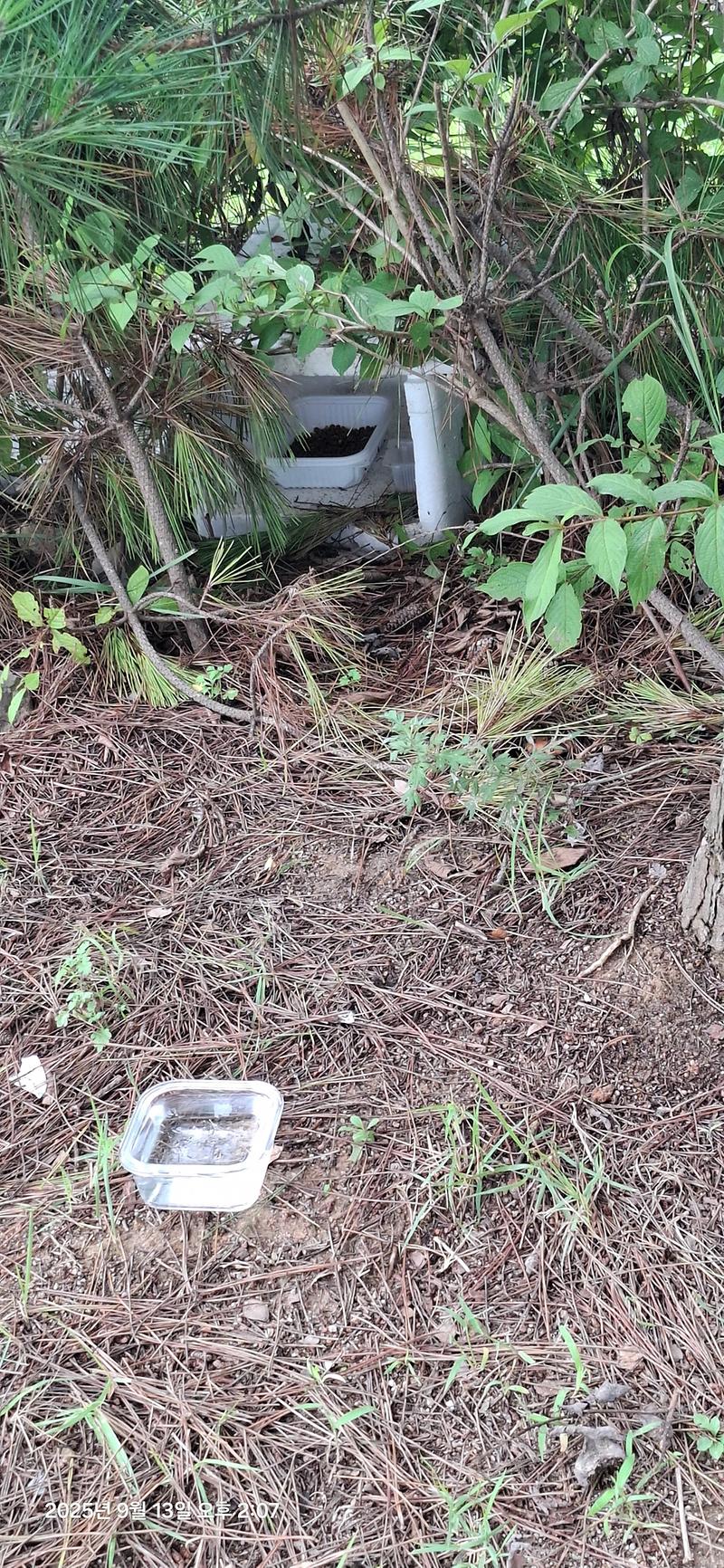 KakaoTalk_20250913_162125609.jpg 이미지