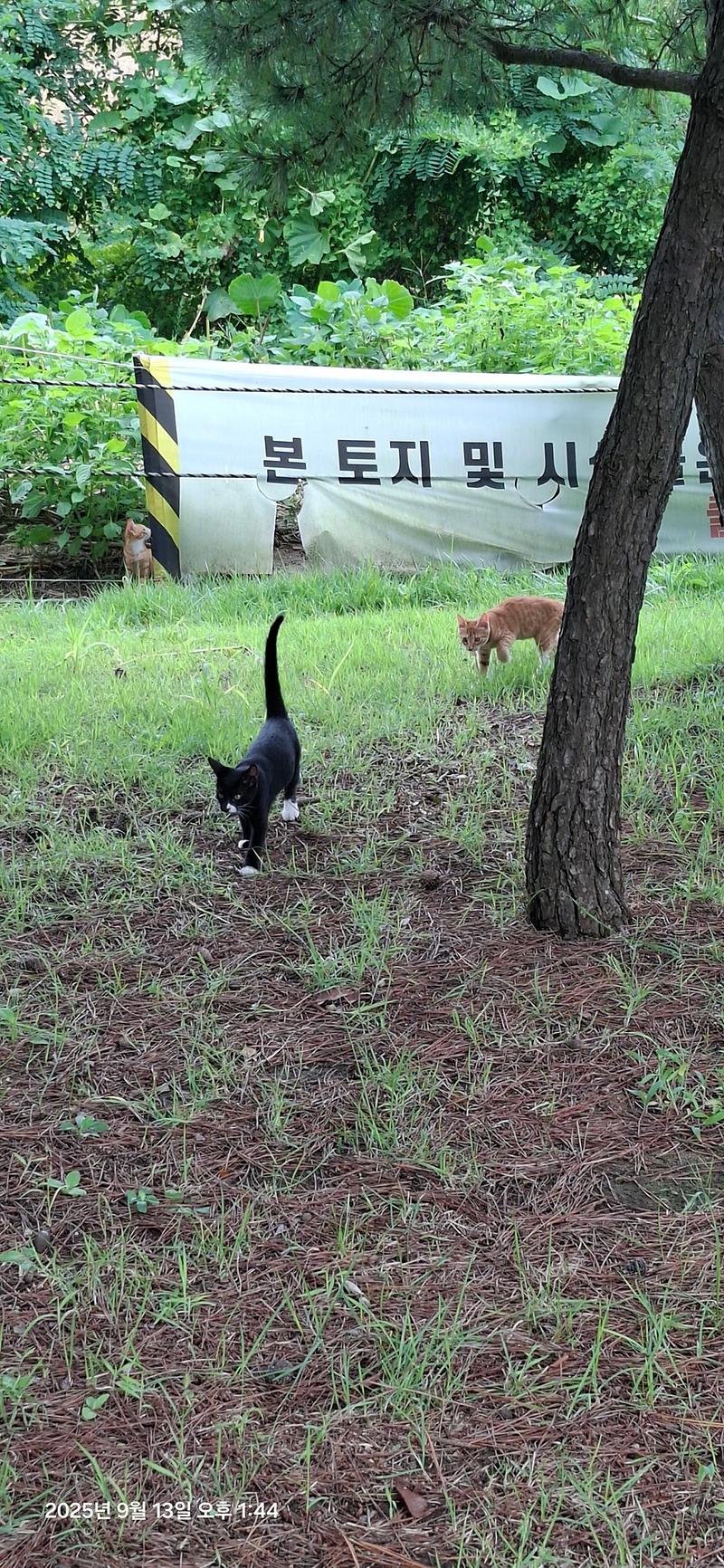 KakaoTalk_20250913_162125609_02.jpg 이미지