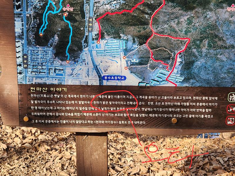 20260221_154326.jpg 이미지