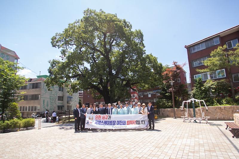 20240528 신현동 회화나무 당제 사진