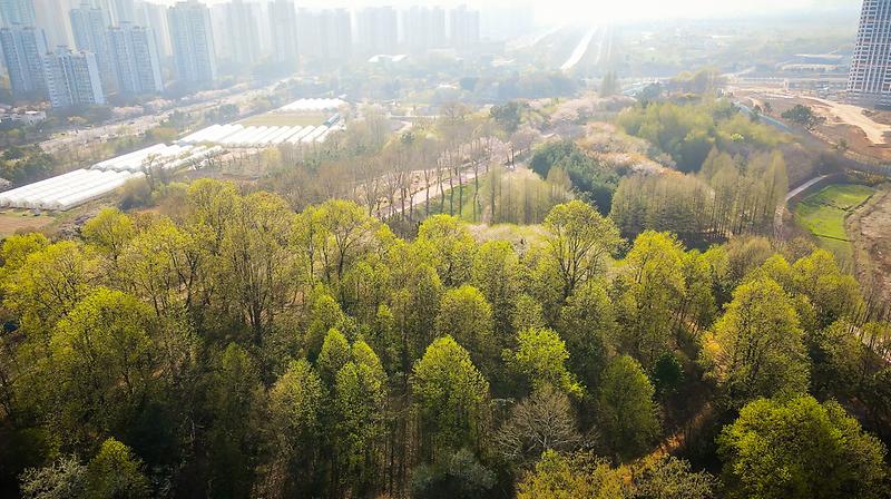 20260415 연희공원 사진