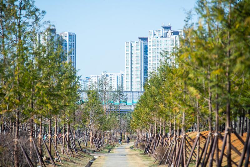 1서구,_심곡천에_‘미세먼지_차단_숲’···미세먼지_막는_주민_휴식_공간_청라_숲_전경_사진_(2).jpg 이미지