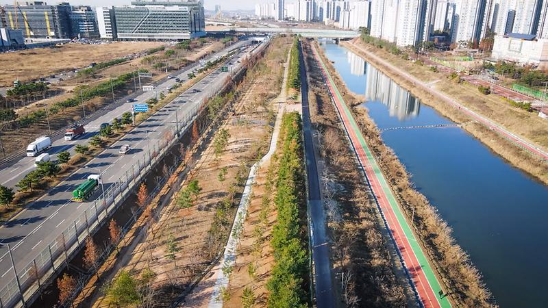 1서구,_심곡천에_‘미세먼지_차단_숲’···미세먼지_막는_주민_휴식_공간_청라_숲_전경_사진_(4).jpg 이미지