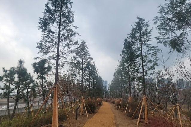 0인천_서구,_2023년_기후대응_도시숲_조성사업_준공(4).jpg 이미지