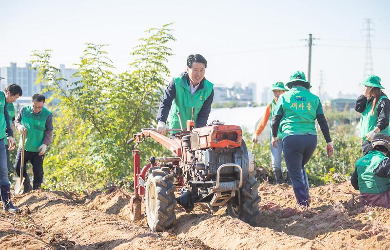서구_새마을회,_소외계층_돕기위한_사랑의_고구마_나누기(1).jpg 이미지