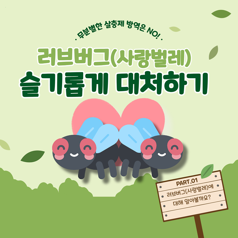 러브버그_안내1.png 이미지