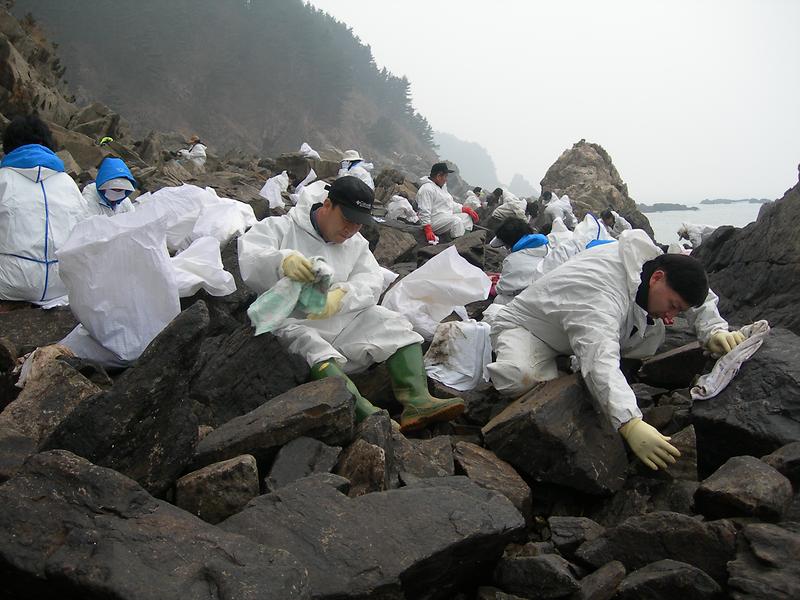 태안.jpg 이미지