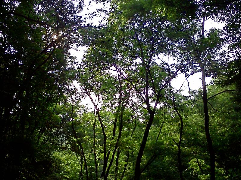 사진120619_001.jpg 이미지