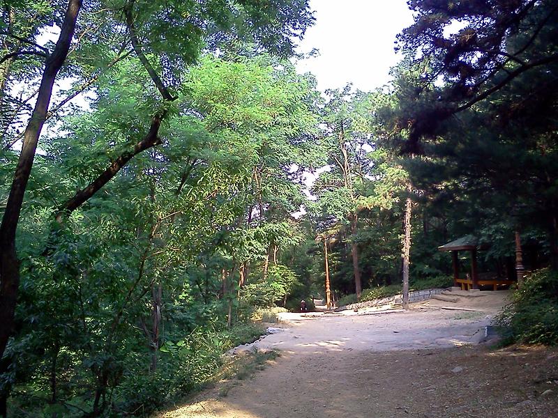 사진120619_002.jpg 이미지