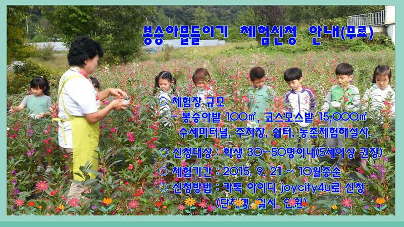 봉숭아물들이기 체험안내(15년 9월).jpg 이미지