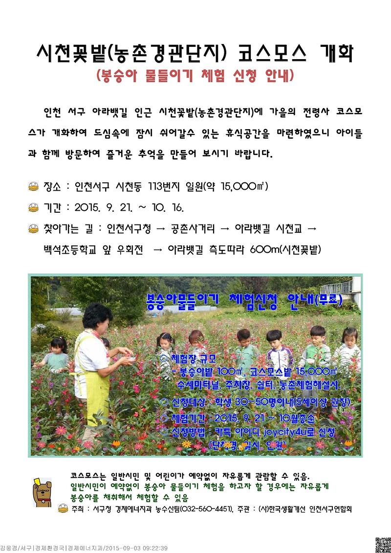 시천꽃밭(농촌경관단지) 코스모스 개화(15년 홍보문안)-1.jpg 이미지