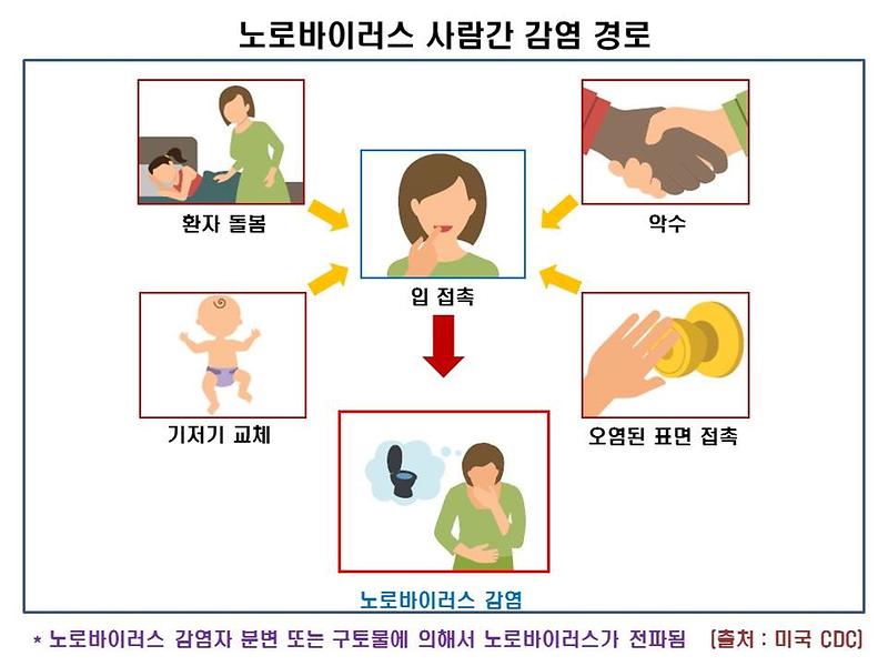 노로바이러스_사람간_감염_경로.jpg 이미지