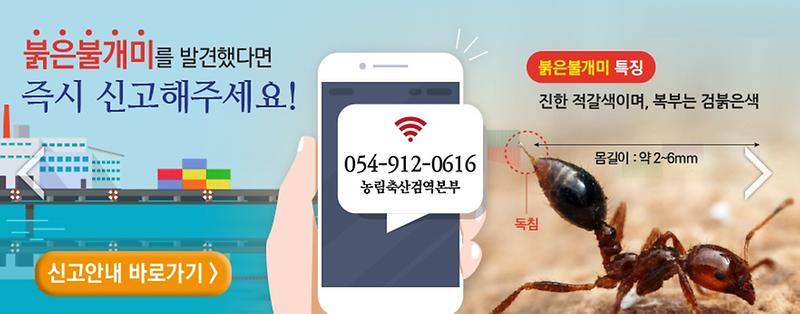 불개미신고안내(검역본부).jpg 이미지