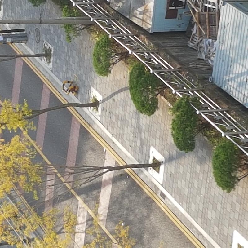 20181025_155553.jpg 이미지