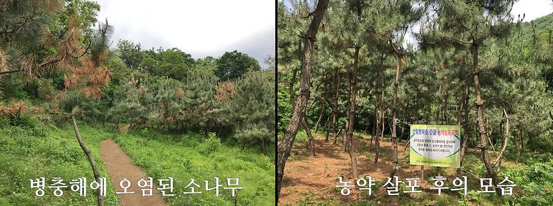 석남동.jpg 이미지