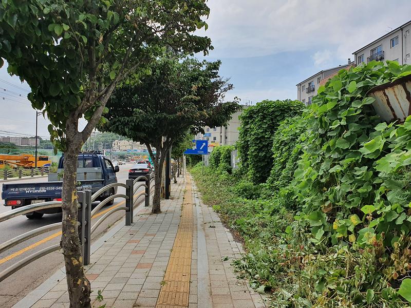 20210714_135552.jpg 이미지