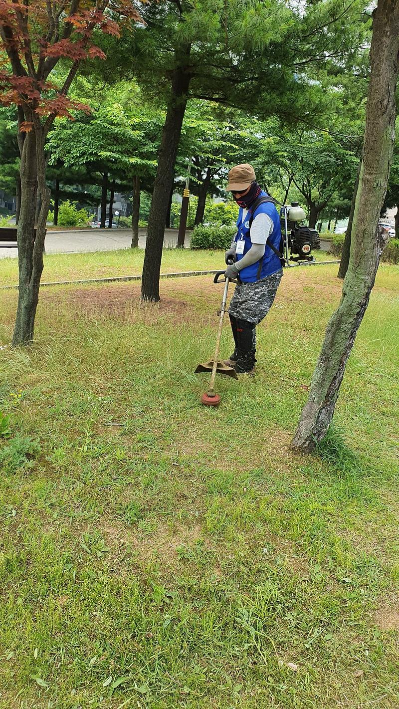 aeb59c217d8b602b811f4f1b99143c7937359964.jpg 이미지