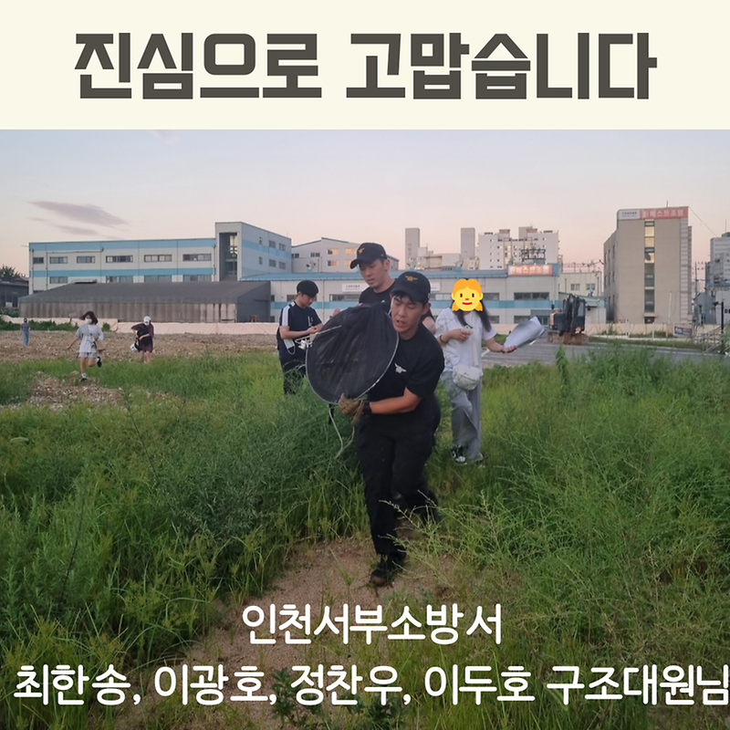 1661307778573.png 이미지