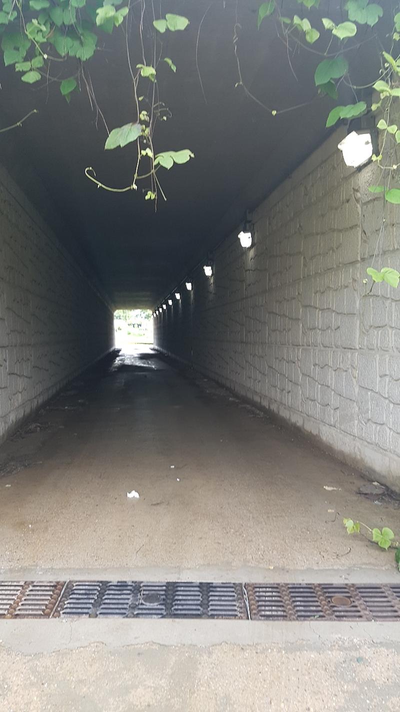 KakaoTalk_20220701_143628997.jpg 이미지