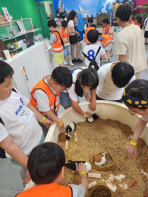 20240725_140950.jpg 이미지