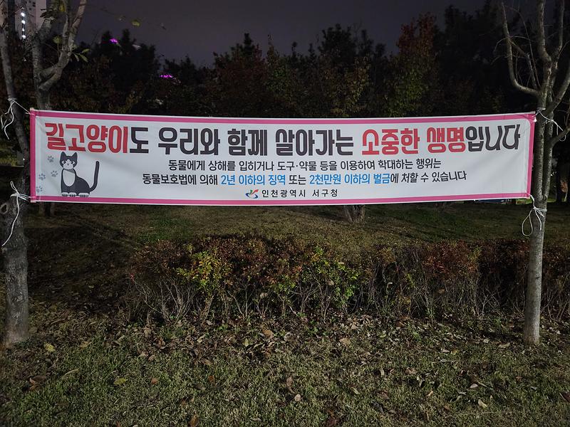 20241101_185738.jpg 이미지