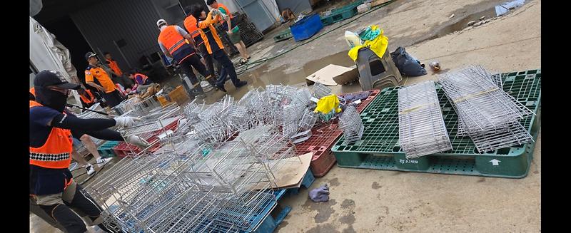 KakaoTalk_20240816_121854684_01.jpg 이미지