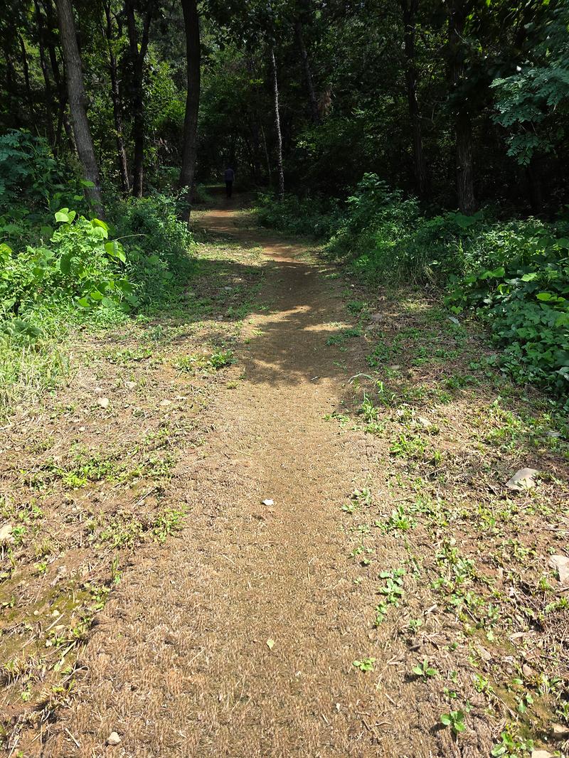 20250905_122202이음길_잡초제거_2.jpg 이미지