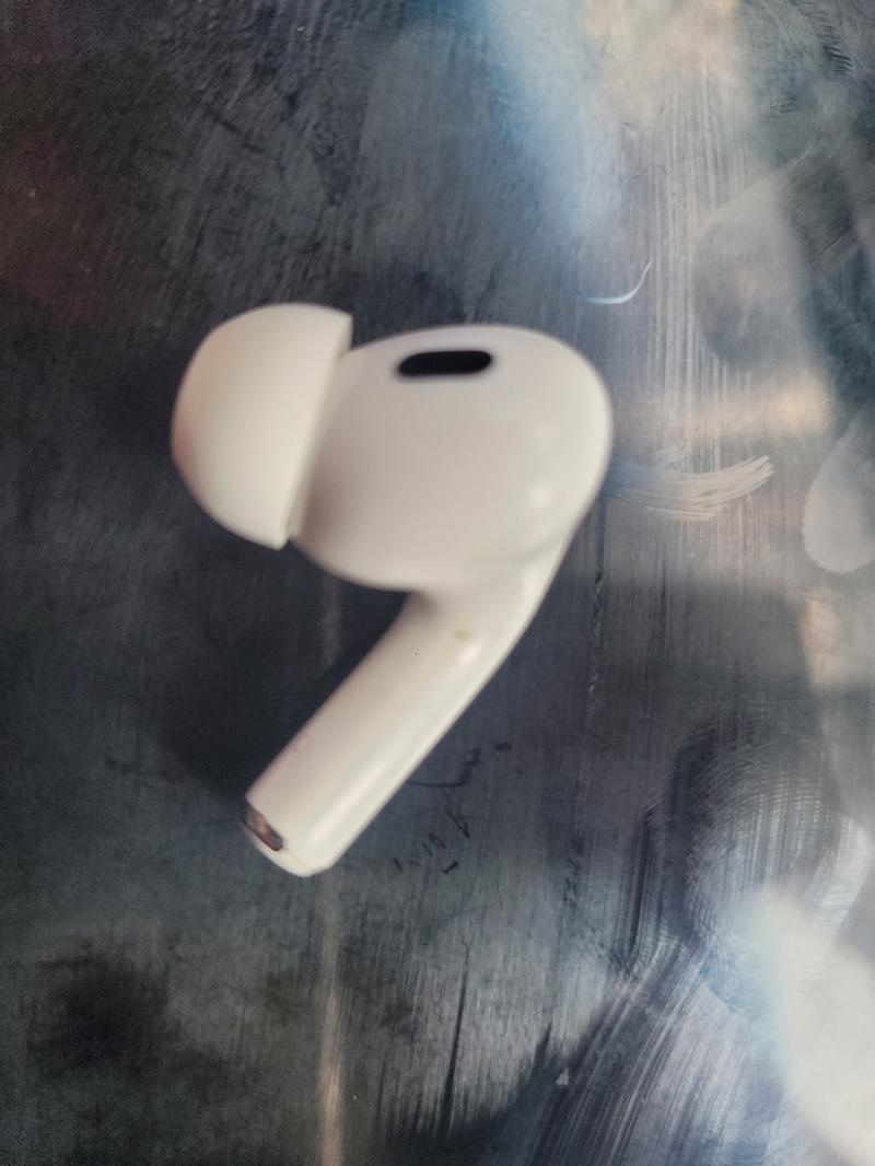 KakaoTalk_20250311_152227327_01.jpg 이미지