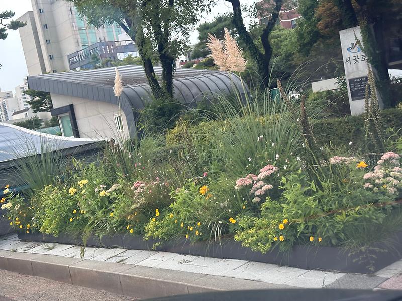 KakaoTalk_20250909_082645296.jpg 이미지