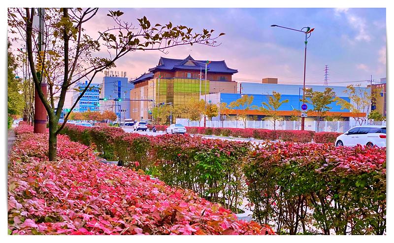 서구청.jpg 이미지