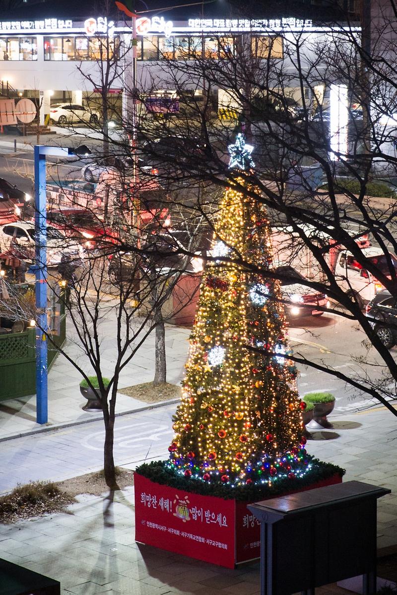 Young-0489.jpg 이미지