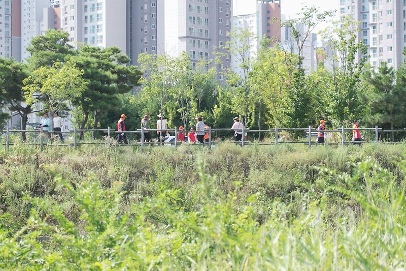 Young-0655.jpg 이미지