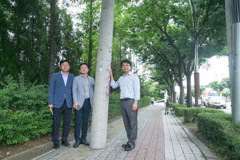 Young-1936.jpg 이미지