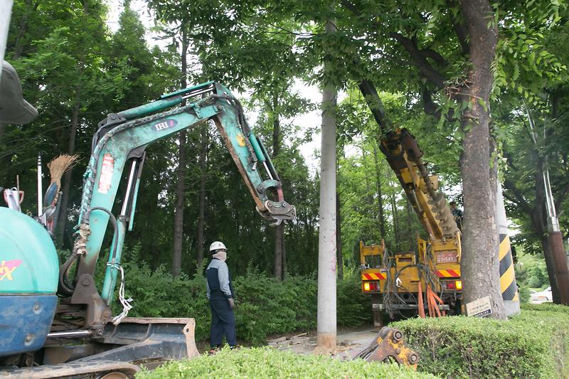 Young-2303.jpg 이미지