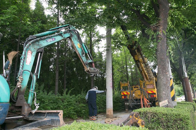 Young-2328.jpg 이미지