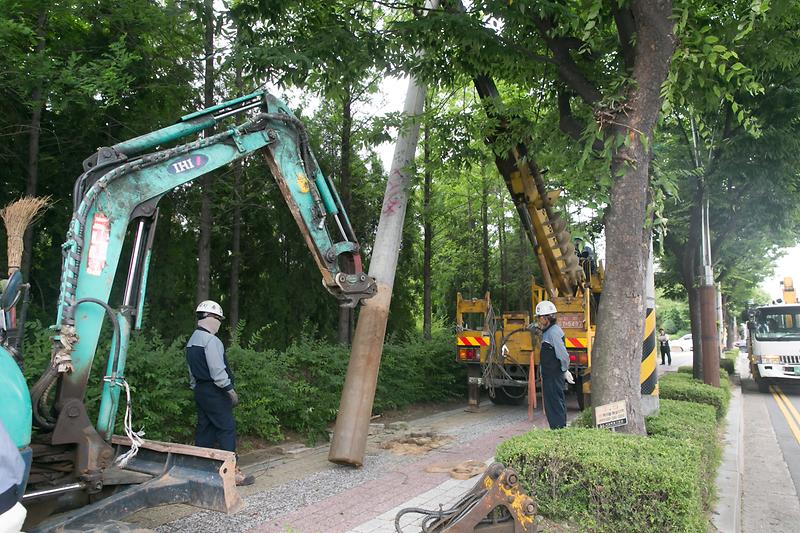 Young-2385.jpg 이미지