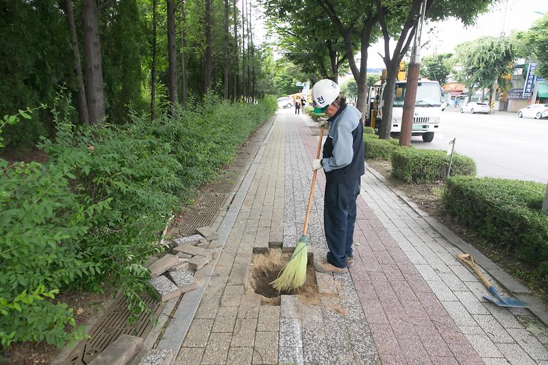 Young-2477.jpg 이미지