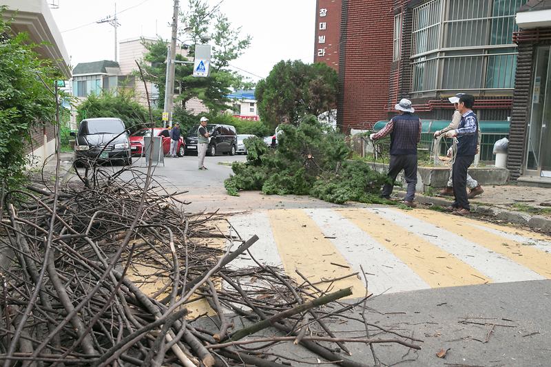 Young-2515.jpg 이미지