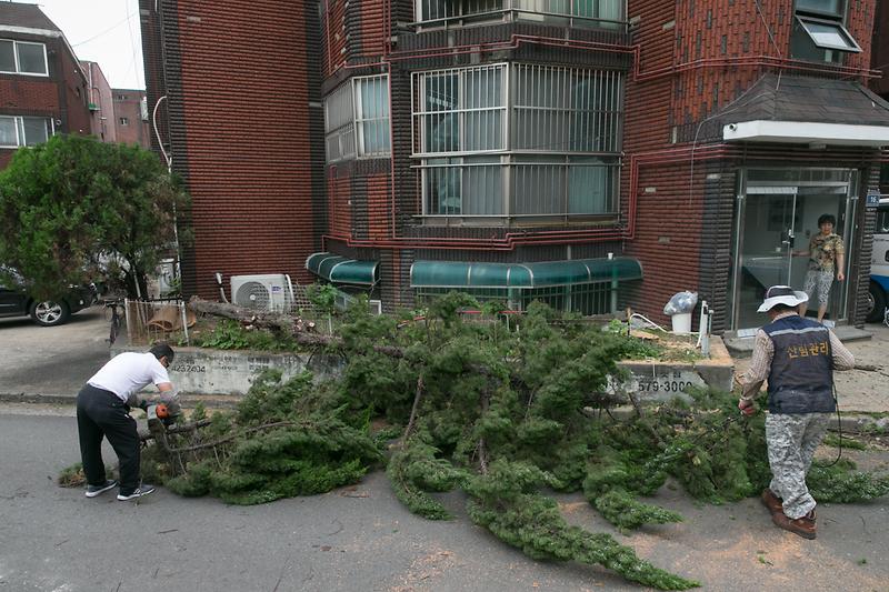 Young-2521.jpg 이미지