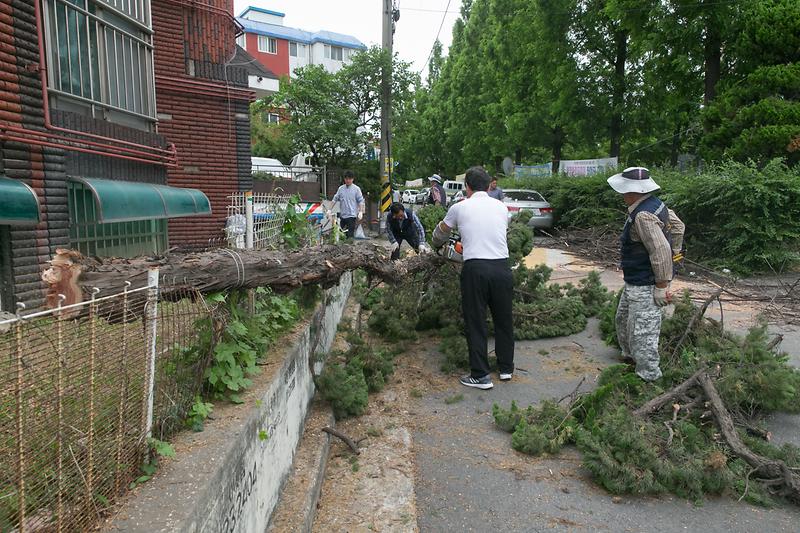 Young-2565.jpg 이미지