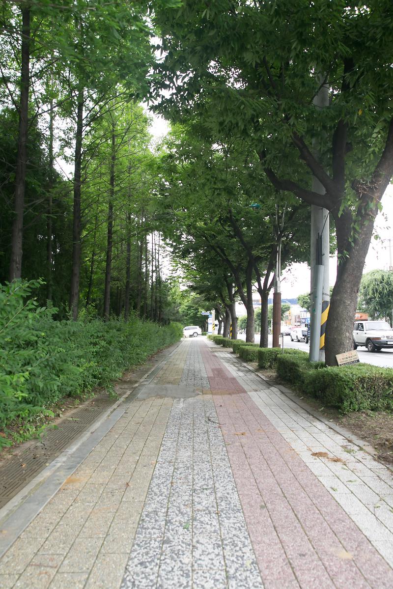 Young-2608.jpg 이미지